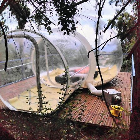 Hotel Dans Ma Bulle By C Cibeaulaos Cilaos Zewnętrze zdjęcie