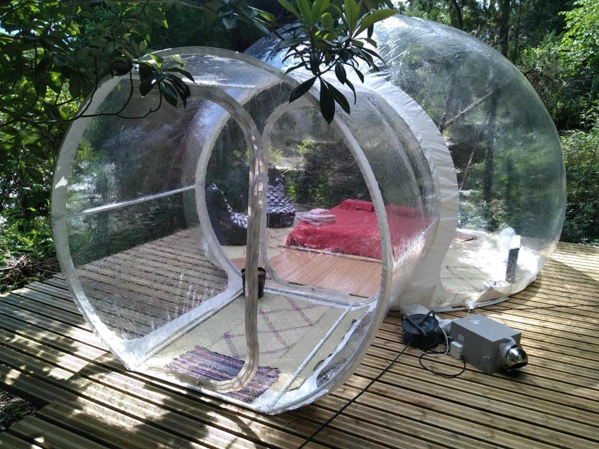 Hotel Dans Ma Bulle By C Cibeaulaos Cilaos Zewnętrze zdjęcie