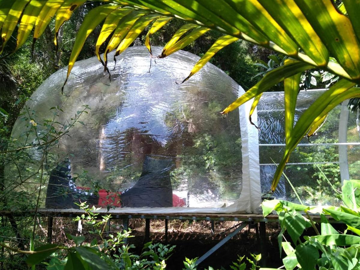 Hotel Dans Ma Bulle By C Cibeaulaos Cilaos Zewnętrze zdjęcie