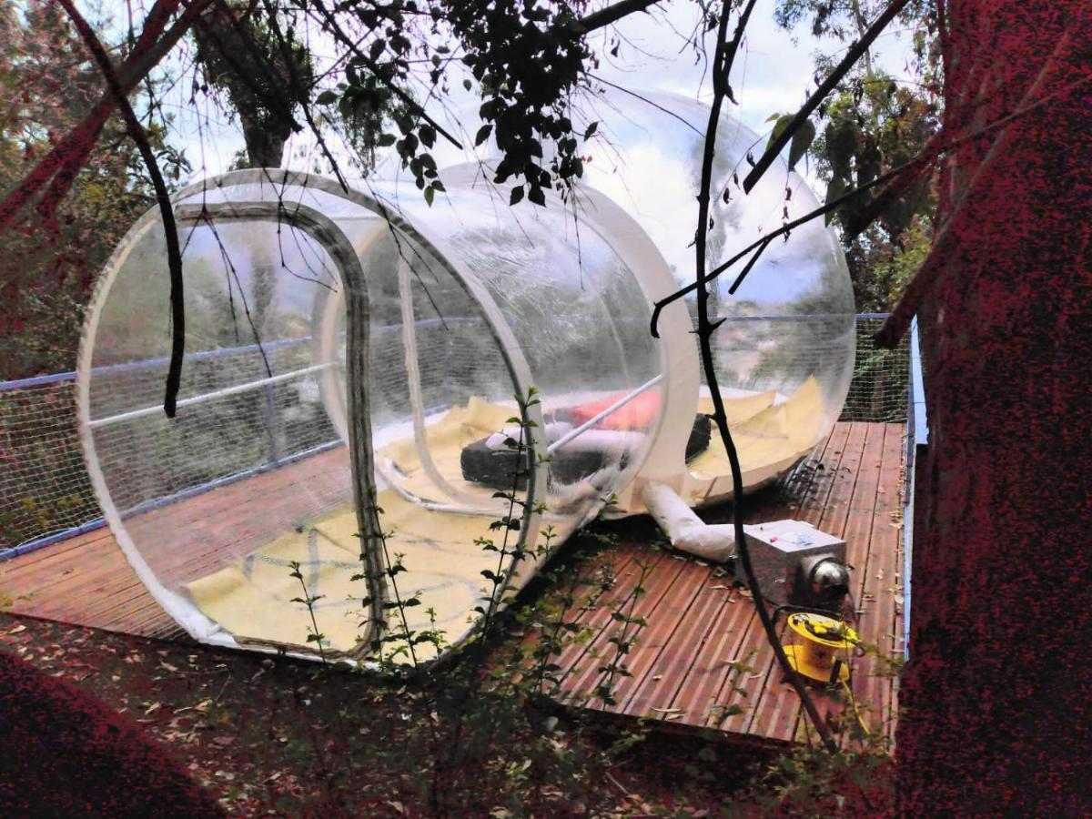 Hotel Dans Ma Bulle By C Cibeaulaos Cilaos Zewnętrze zdjęcie