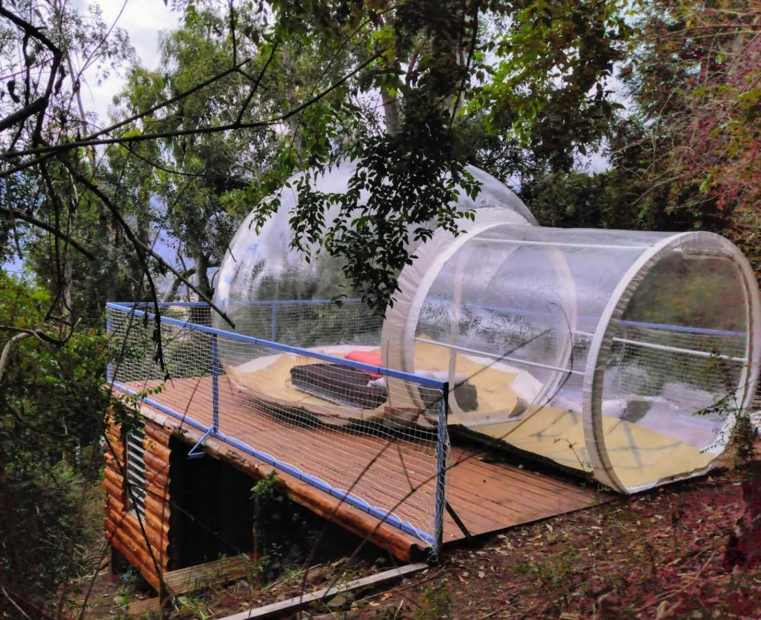 Hotel Dans Ma Bulle By C Cibeaulaos Cilaos Zewnętrze zdjęcie